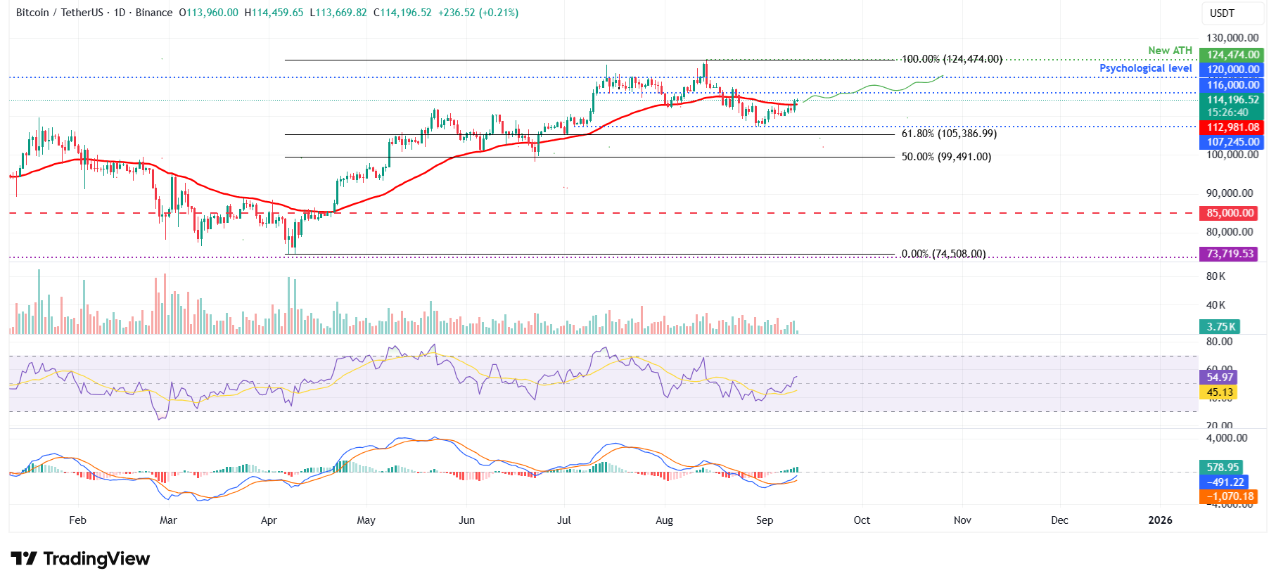 الرسم البياني اليومي لزوج BTC/USDT 