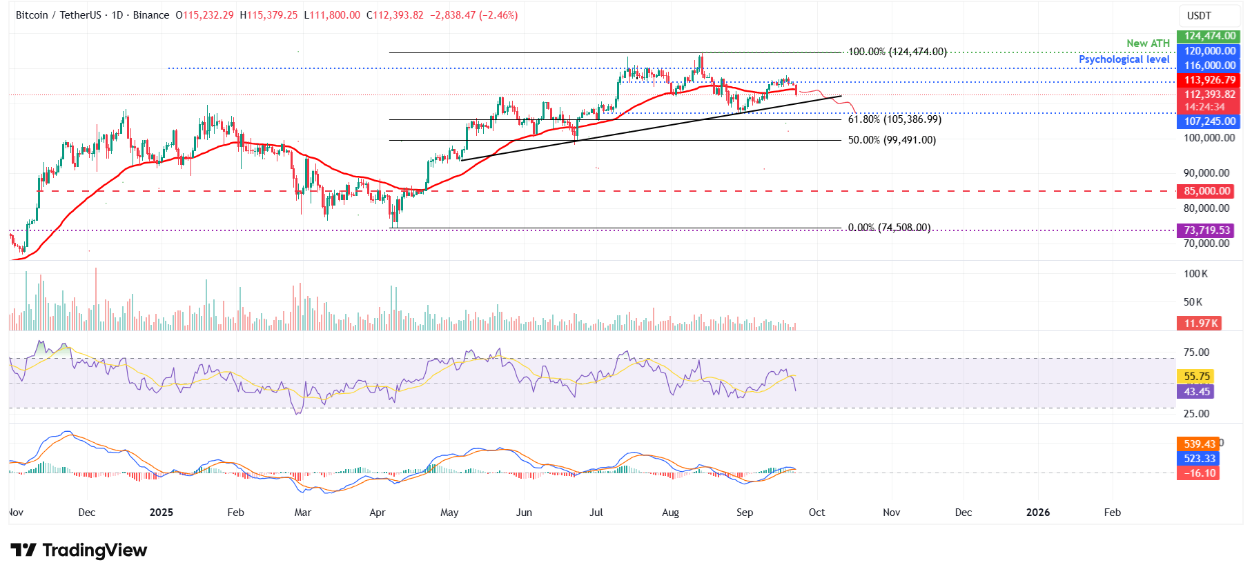 الرسم البياني اليومي لزوج BTC/USDT 