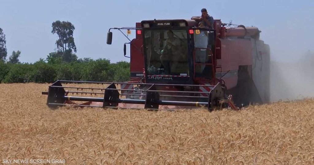 ارتفاع أسعار القمح لأعلى مستوى في أسبوعينقلصت العقود الآجلة للقمح في بورصة شيكاغو مكاسبها، الاثنين، بعد ارتفاعها إلى أعلى مستوى لها في أكثر من أسبوعين وسط آمال بزيادة الطلب العالمي. مايكروسوفت