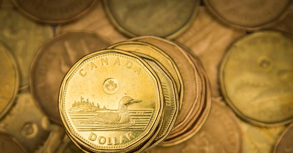 A Canadian dollar coin, commonly known as the