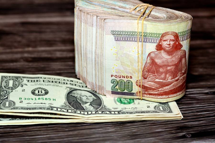 سعر الدولار مقابل الجنيه المصري اليوم الثلاثاء 12 نوفمبر 2024 «إف تي إكس» تقاضي بيانانس في قضية تحويل أموال بـ1.8 مليار دولار