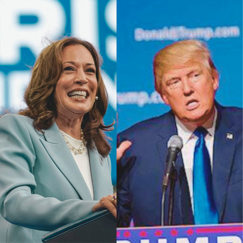 أساسيات ثلاثة لهذا الأسبوع: نت... أساسيات ثلاثة لهذا الأسبوع: نت...