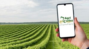 شركة «AgriCash» المصرية للتكنولوجيا الزراعية تُغلق جولة تمويلية بقيادة «Alex Angels»