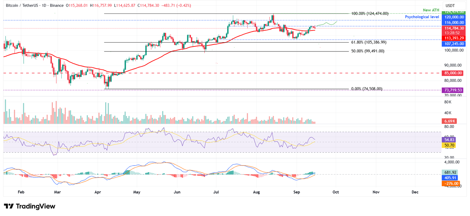 الرسم البياني اليومي لزوج البيتكوين/تيثر