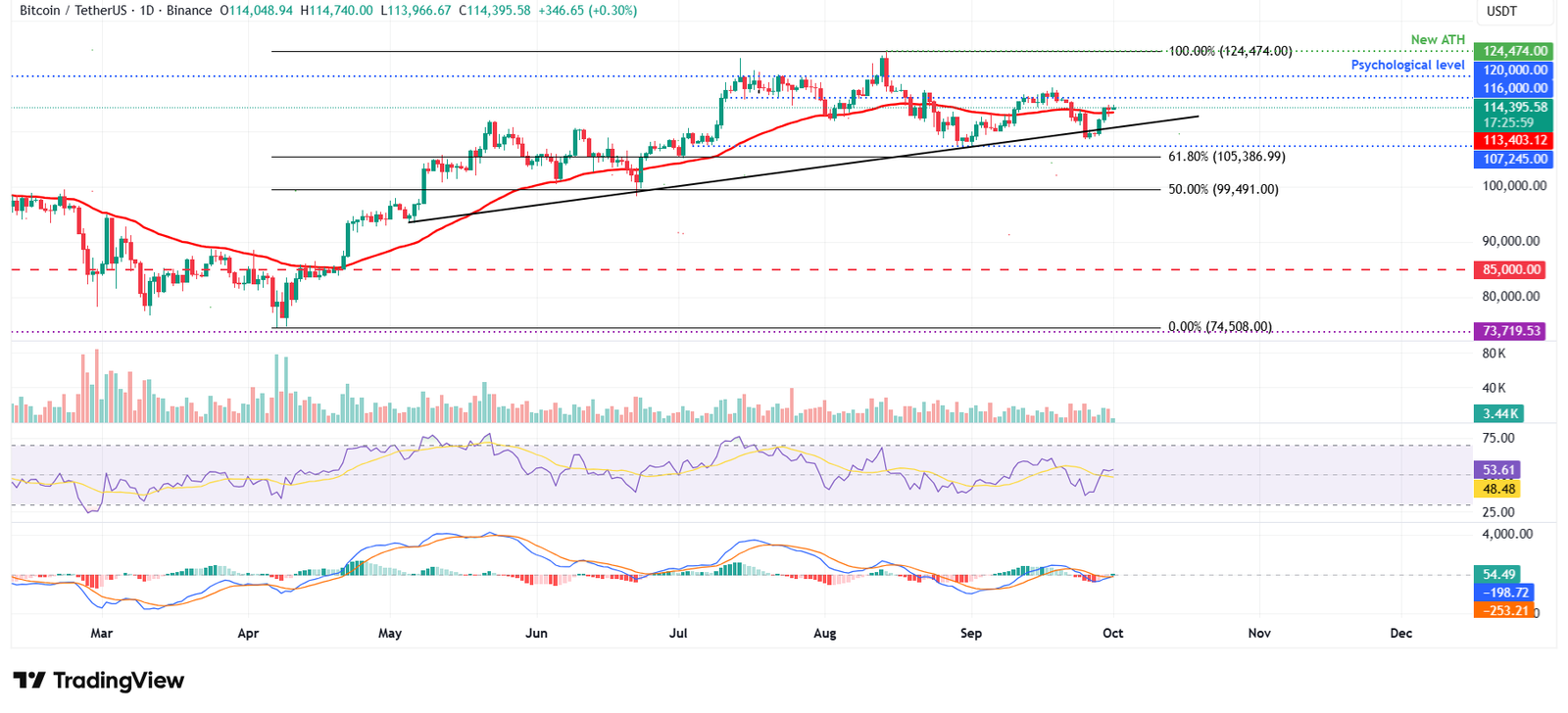 الرسم البياني اليومي لزوج BTC/USDT