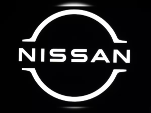 أسهم نيسان للكيماويات قفزت بنسبة 17٪ بعد ذلك...